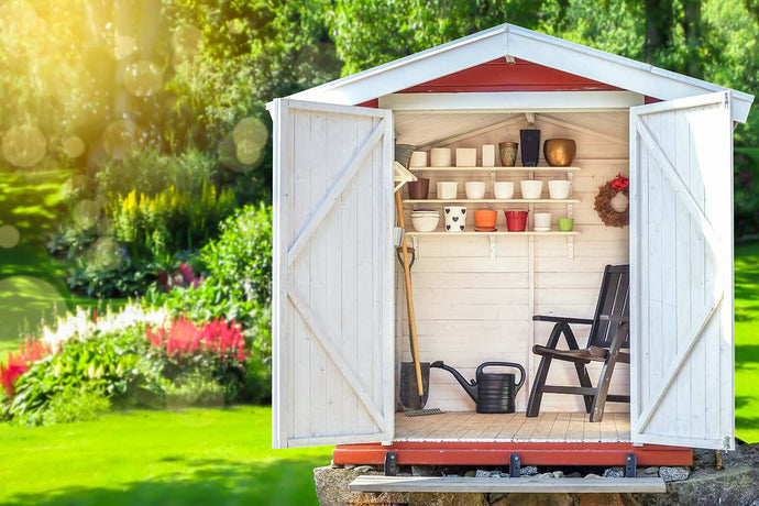 Get the Shed you Want...not the Shed you Need.